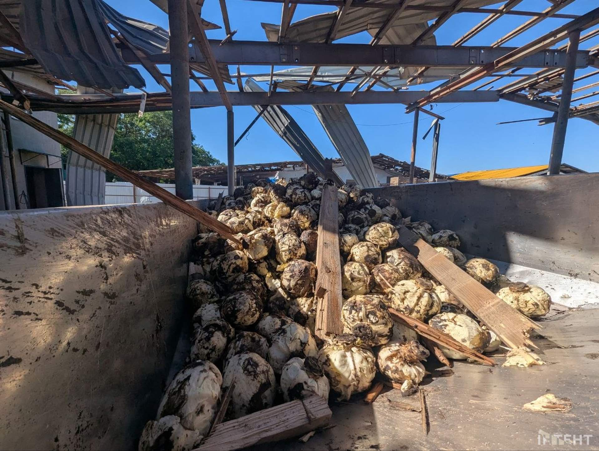 Від російського удару по судну загинув громадянин Єгипту