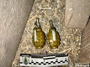 На Миколаївщині затримали озброєного бойовими гранатами чоловіка