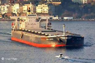 У порту "Південний" завантажили судно-рекордсмен