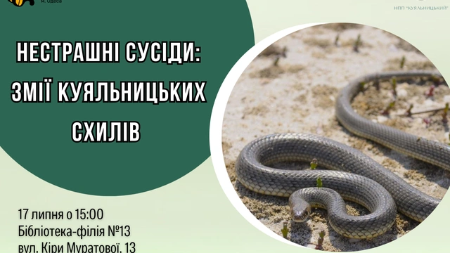 Нестрашні сусіди: Змії Куяльницьких схилів