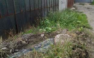 Екологічна інспекція оштрафувала одеського комунальника за сморід на вулиці