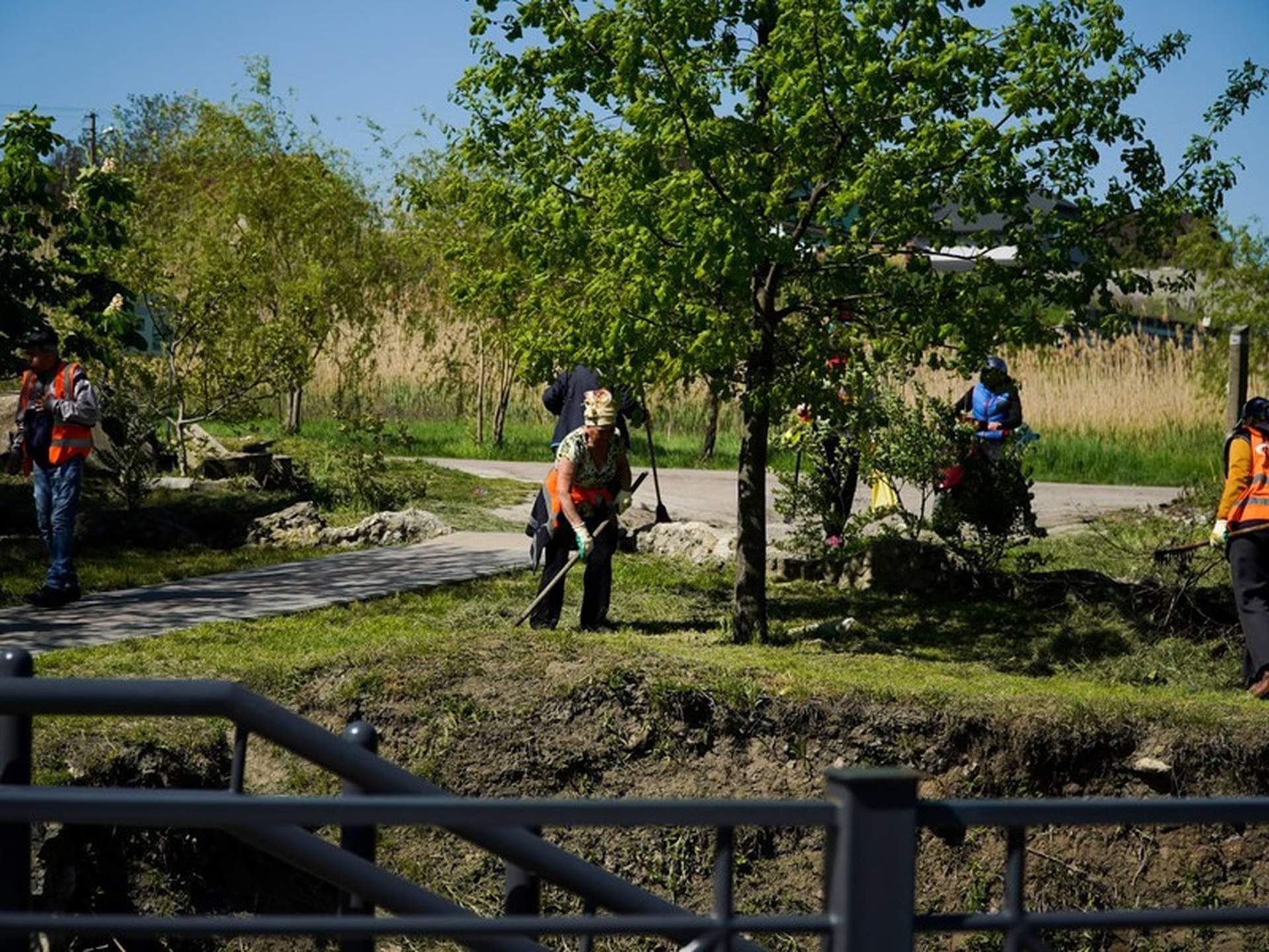 У Миколаєві стартувала масштабна толока