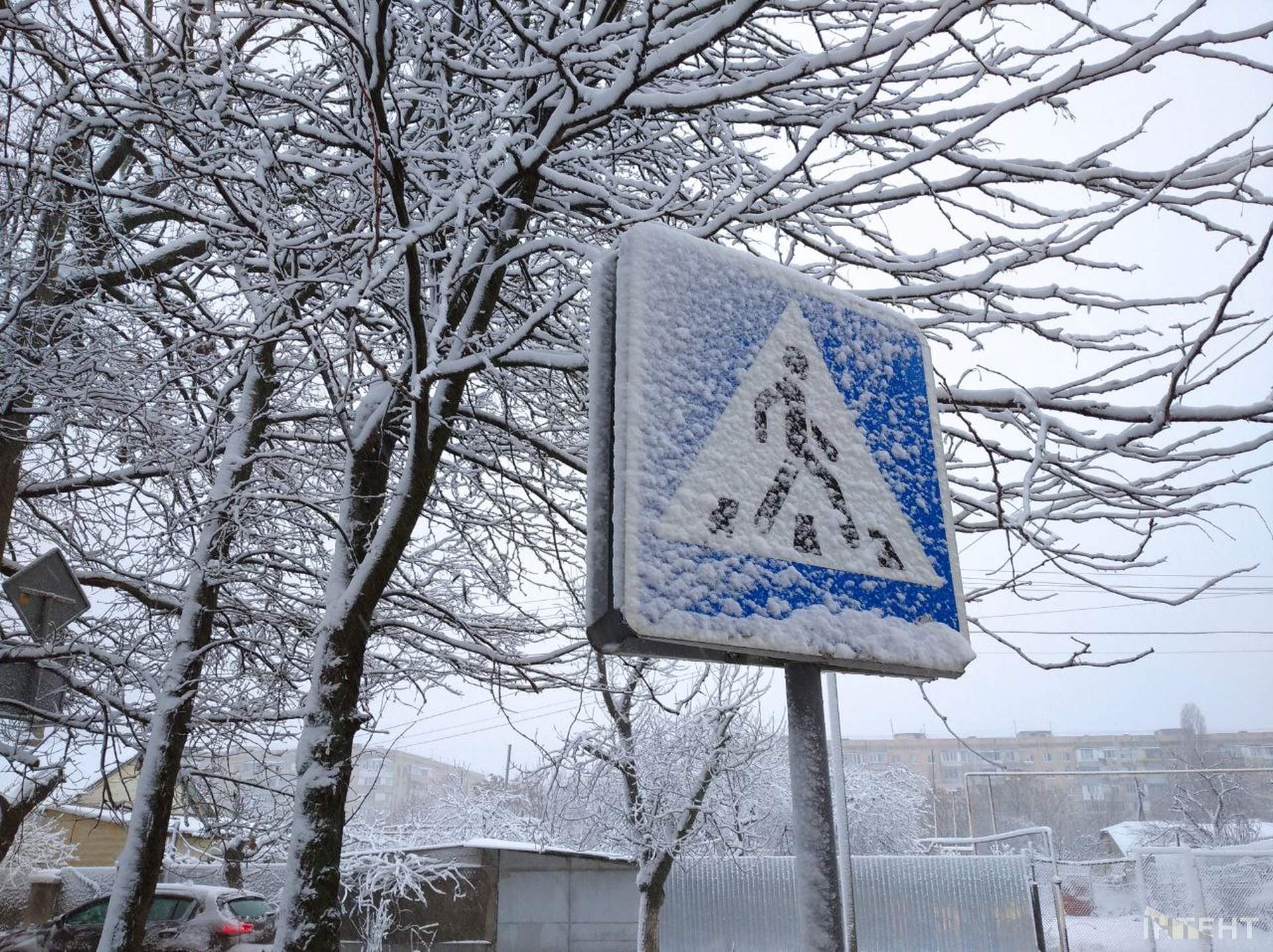 Зимова казка