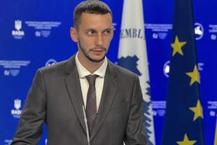 Дружина нардепа Горенюка торік отримала від німецького уряду понад 300 тисяч гривень