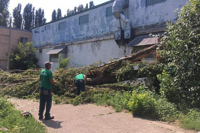 Матеріальну допомогу постраждалим через липневу негоду почнуть виплачувати протягом тижня