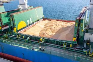 По украинскому морскому коридору перевезли уже 100 миллионов тонн зерна