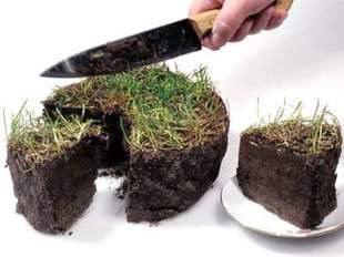 Более трех тысяч участников АТО хотят получить землю в Одесской области