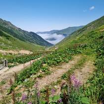 Black Sea Steppe
