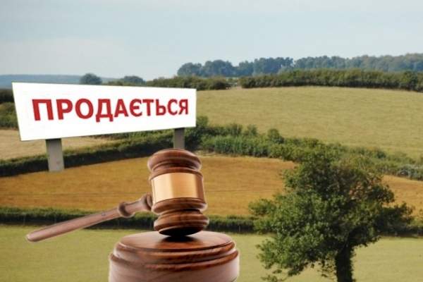 В системі "Прозорро.Продажі" успішно відбулися перші земельні аукціони