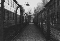 prisoners of war