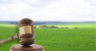 На Миколаївщині прокуратура вимагає повернути землі вартістю понад мільярд