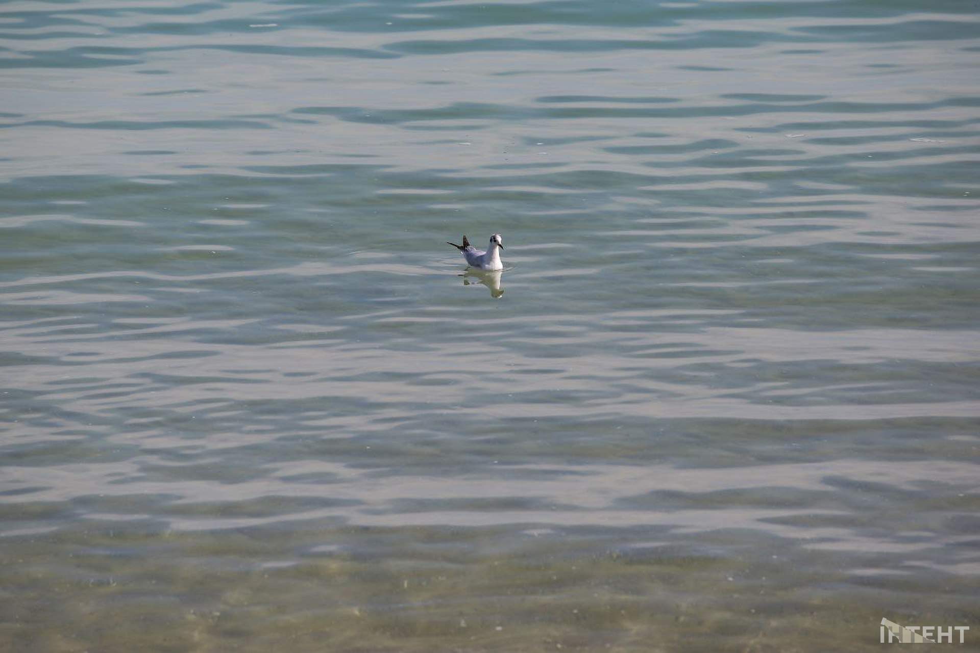 На одеські пляжі прийшла друга воєнна весна