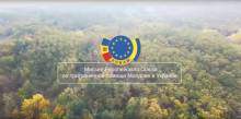 Миссия Европейского Союза по приграничной помощи Молдове и Украине
