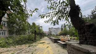 У Миколаєві біля обласної лікарні вирубали дерева для будівництва великого підземного укриття