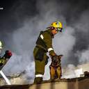 Внаслідок нічної атаки в Одесі загинуло подружжя