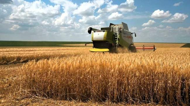 ФОТО: agroportal.ua