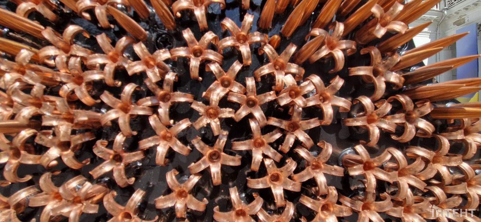 Перед будівлею Одеської мерії тимчасово встановили велетенські окуляри