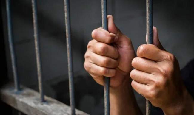 Colony, illustrative photo. SOURCE: Judiciary