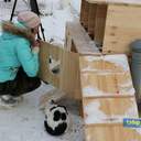 Как усатые жители Лузановки справляли новоселье