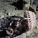 Через обстріли на Миколаївщині загинуло двоє підлітків