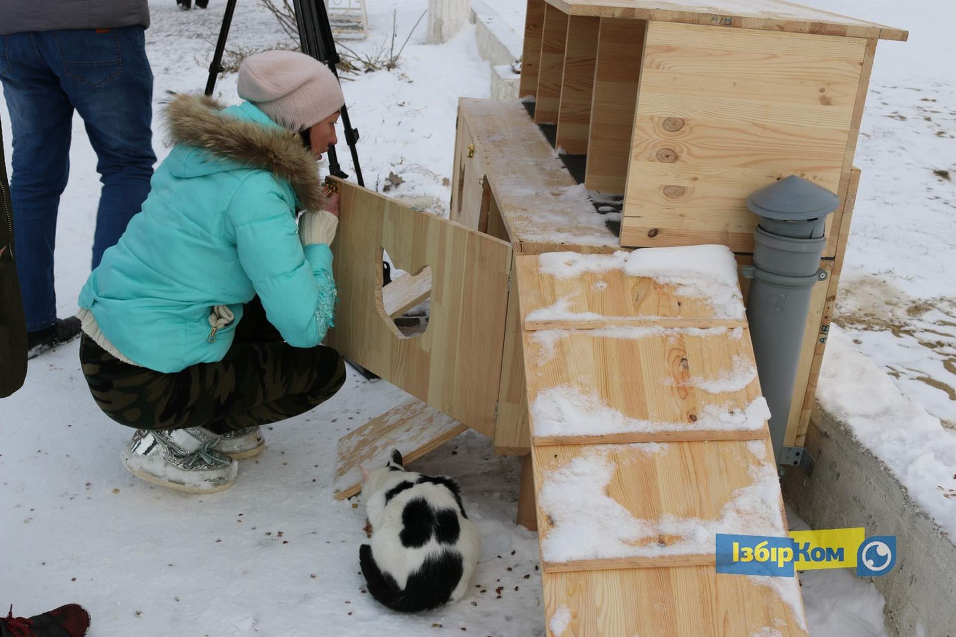 Как усатые жители Лузановки справляли новоселье