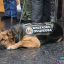 Сессия Одесского горсовета: вручение знака отличия бабушке Андрея Новичкова и выступление нардепа