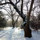 Снег в Одессе: катание на санках и прогулки к морю