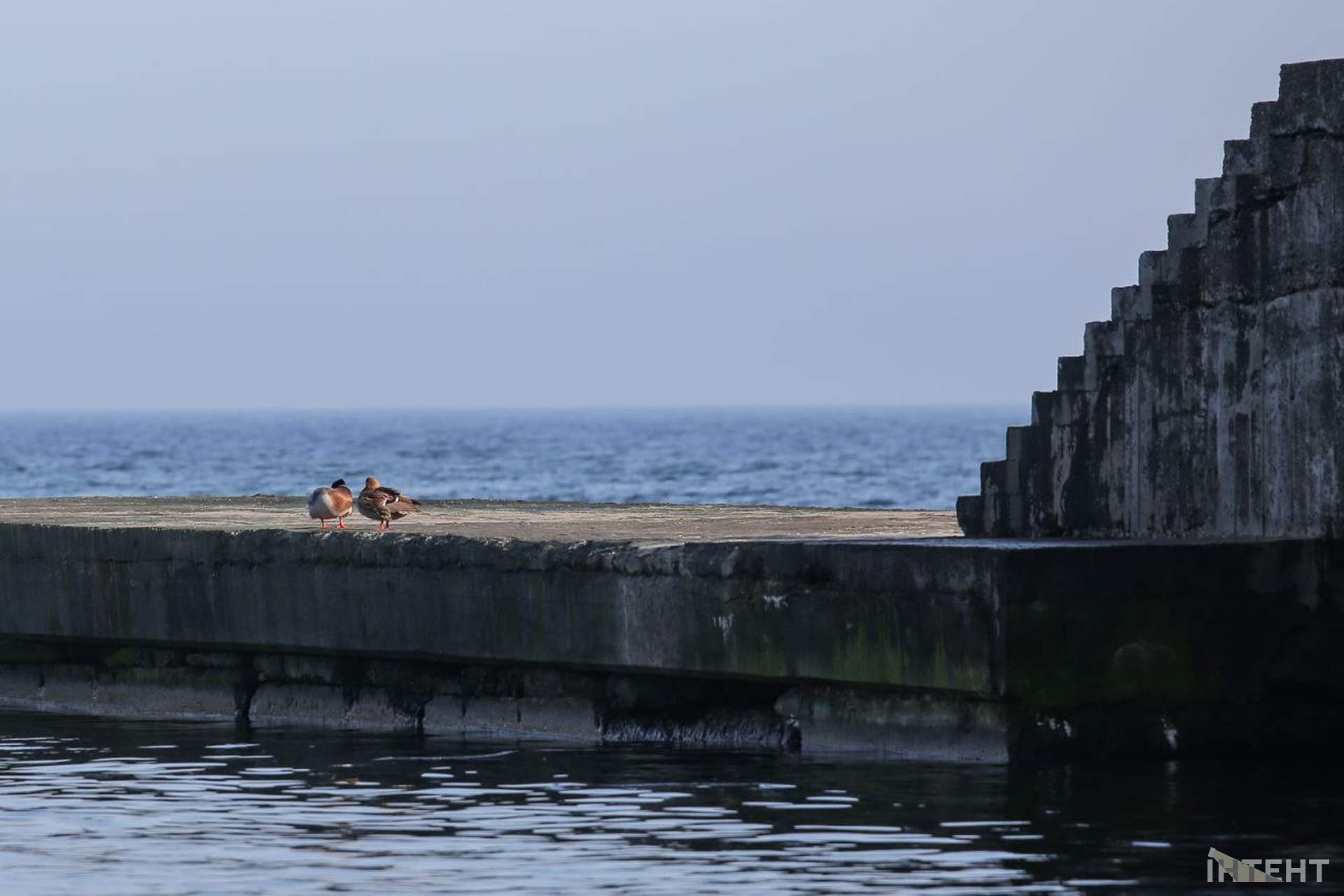 На одеські пляжі прийшла друга воєнна весна
