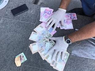 Суд визнав ексзаступника директора природного парку на Одещині невинним у хабарництві