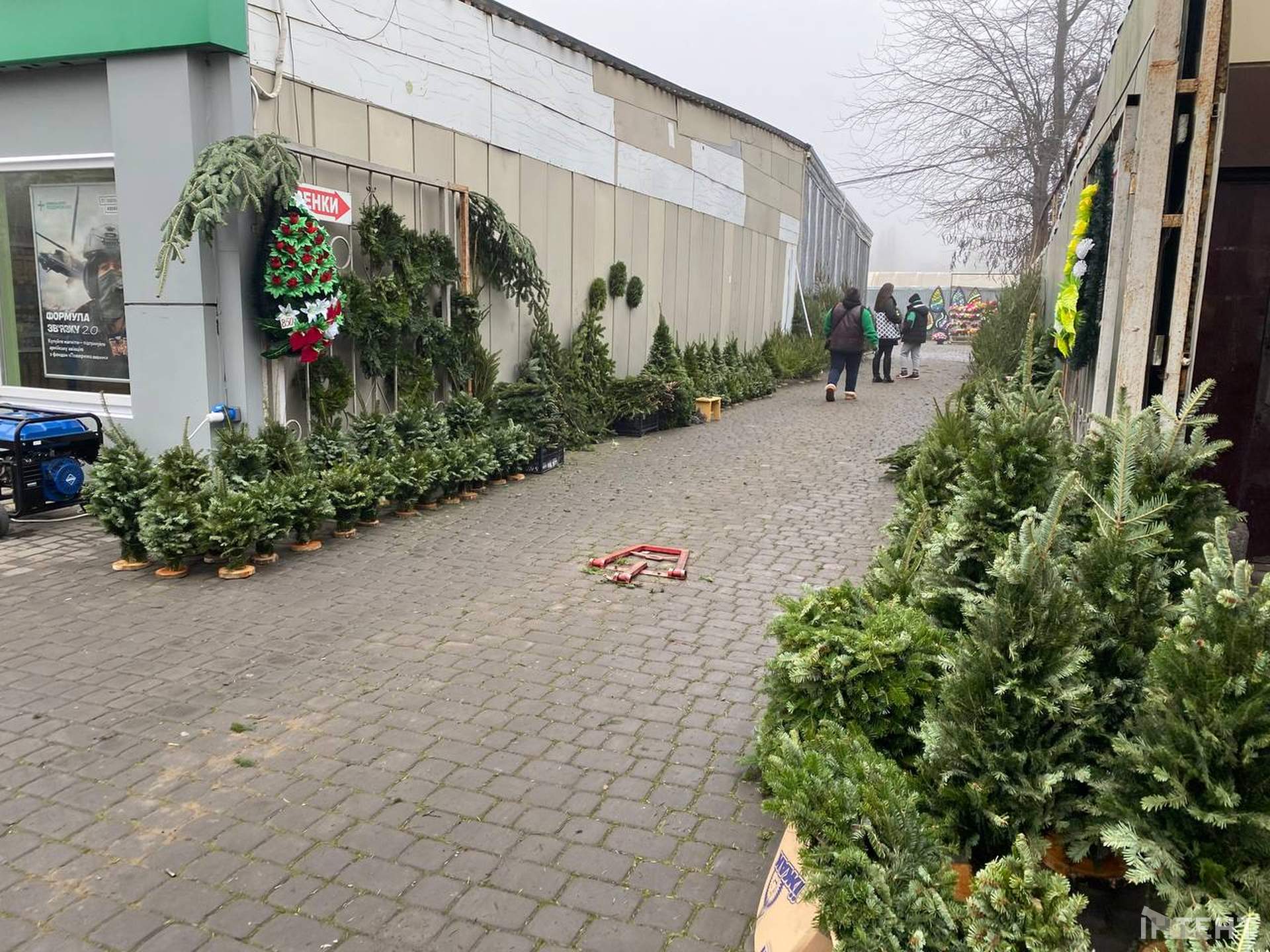 Одеса зазеленіла ялинковими базарами