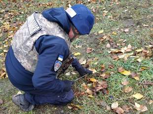 255 вибохонебезпечних предметів знешкодили піротехніки на Херсонщині