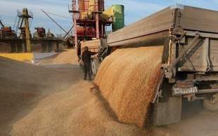Russians exported more than 2 million tons of grain from the occupied territories of Ukraine