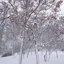 Зимова казка