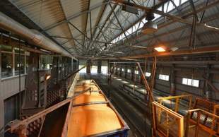 Укрзалізниця з початку серпня перевезла понад 1 мільйон тонн зерна