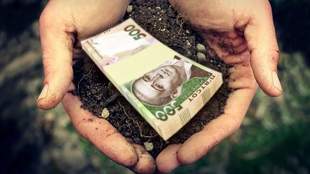 Директор учебного заведения с Николаевщины отдал учебные земли агрофирме