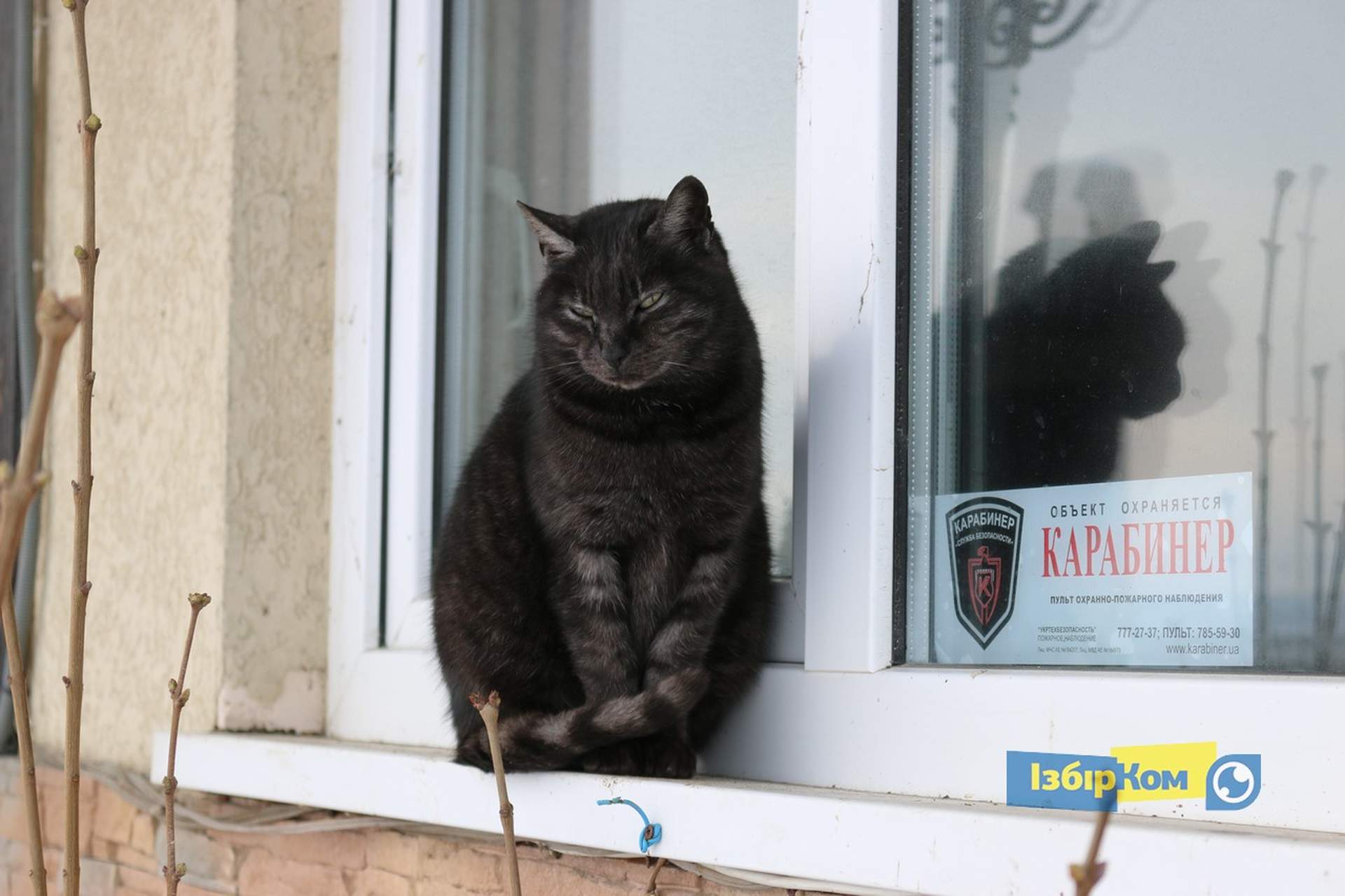 Как усатые жители Лузановки справляли новоселье