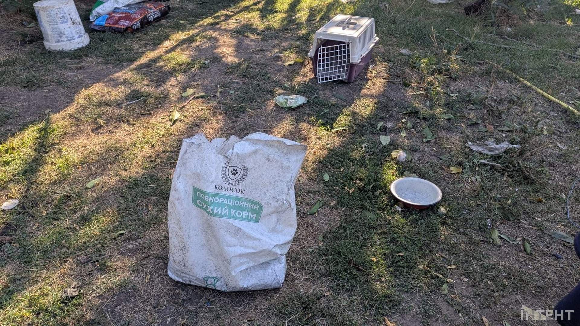 На Одещині під час атаки згорів притулок "Люблячі серця": загинули 13 тварин