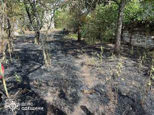 Enemy missile strike in Odesa region caused 4 million in environmental damage
