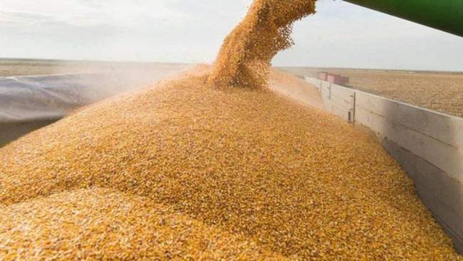 ФОТО: interfax.com.ua