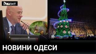 Мертвая белка на сессии, главная елка и рейды БЭБ: самое интересное за неделю в Одессе