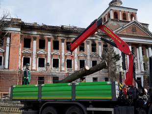 Прибрана основна частина пошкоджених дерев у Миколаєві