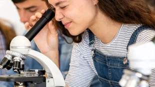 Mykolaiv Education Department Purchased Educational Equipment for 8 Million without an Auction