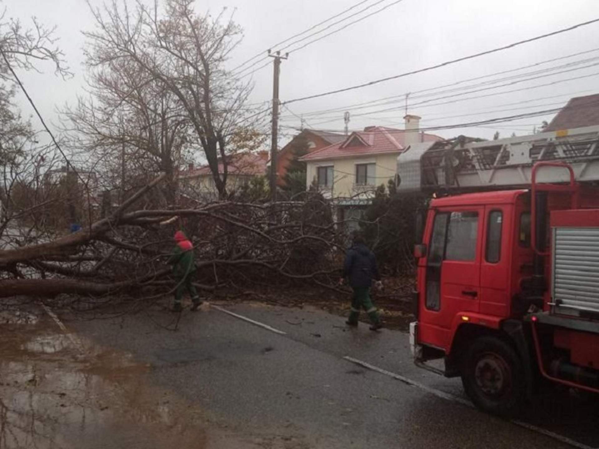 Заборонений рух трасами та знеструмлення: на Одещині вирує негода