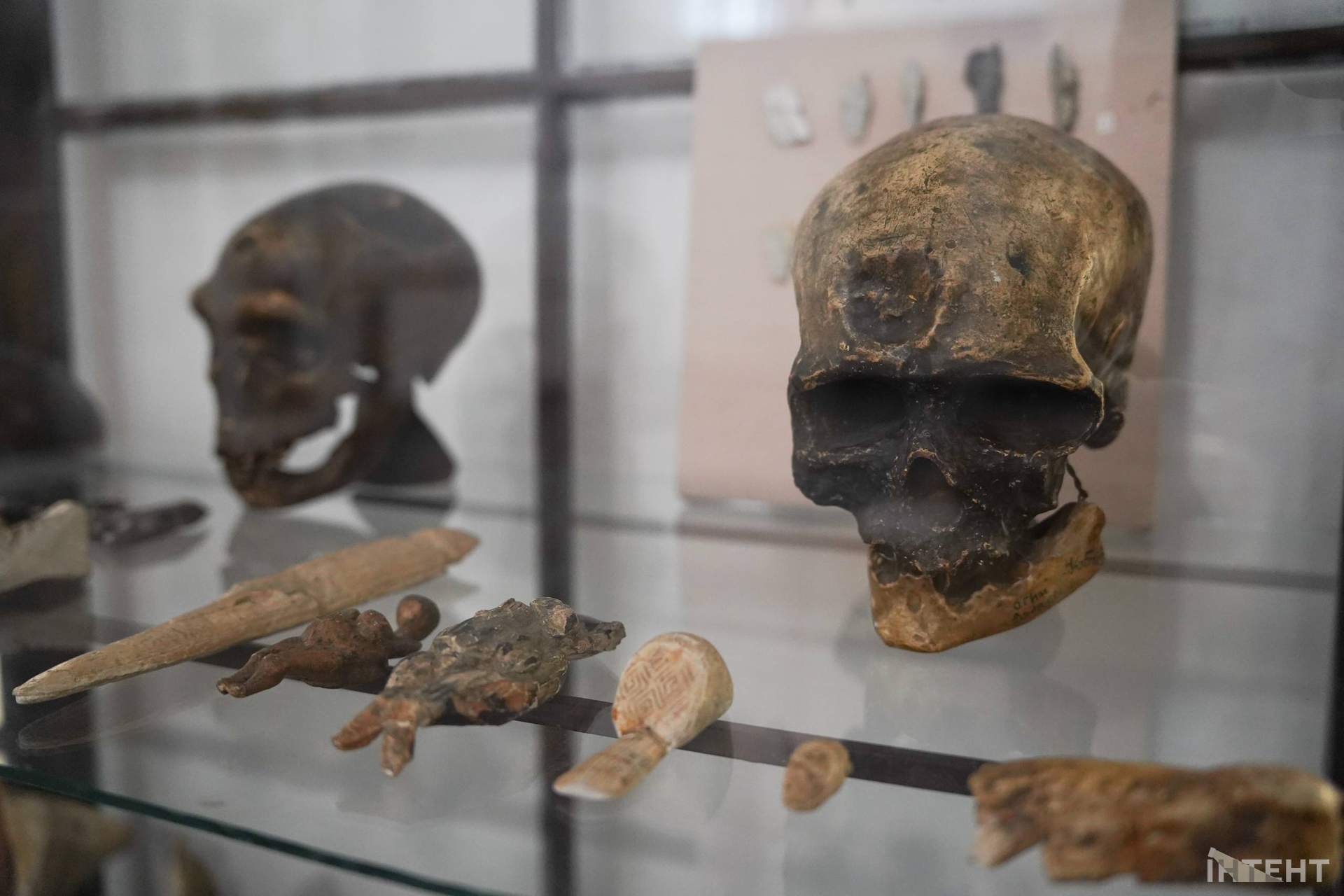 На честь 200-річчя в Одеському археологічному музеї розширили експозицію