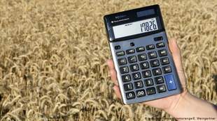 Ринок сільгоспземель планують відкрити вже за 9 місяців: хто зможе продати і купити