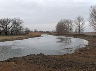 Фірмі, що пов'язують з одеським депутатом, без аукціону вирішили сплатити 24 мільйона
