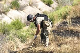 На Миколаївщині піротехникі знешкодили велику кількість боєприпасів