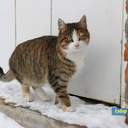 Как усатые жители Лузановки справляли новоселье