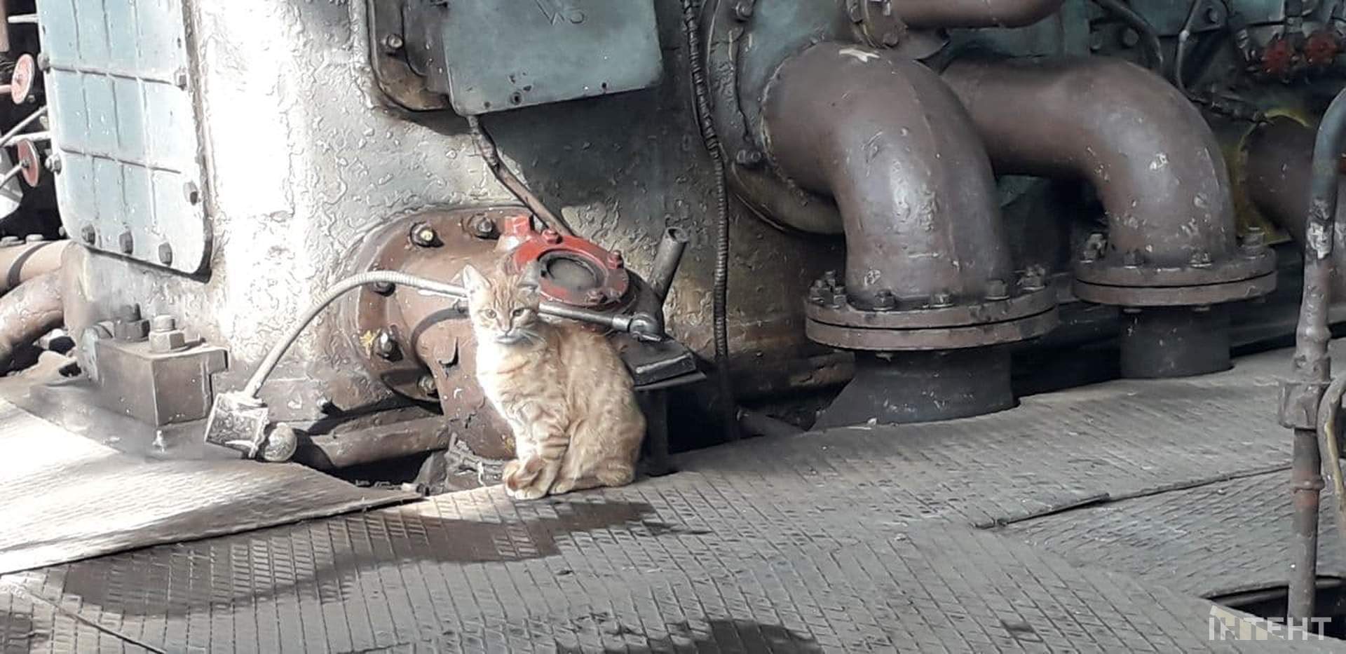 Чи готова Одеська ТЕЦ до опалювального сезону