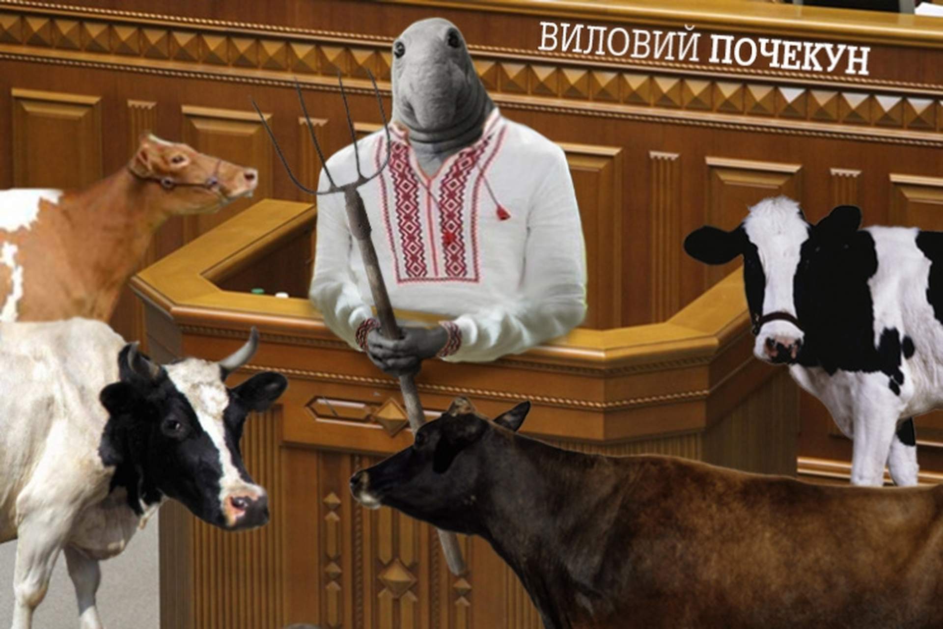 Самые популярные "ждуны" в политике: фотоподборка